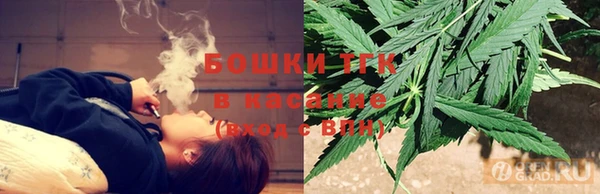 гидра Горняк