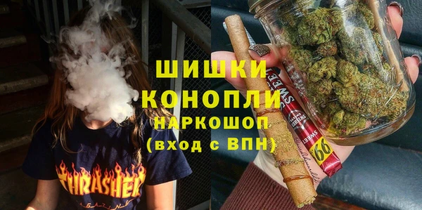 гидра Горняк