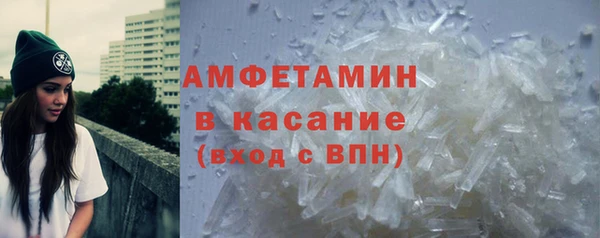 гидра Горняк