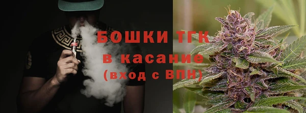 гидра Горняк
