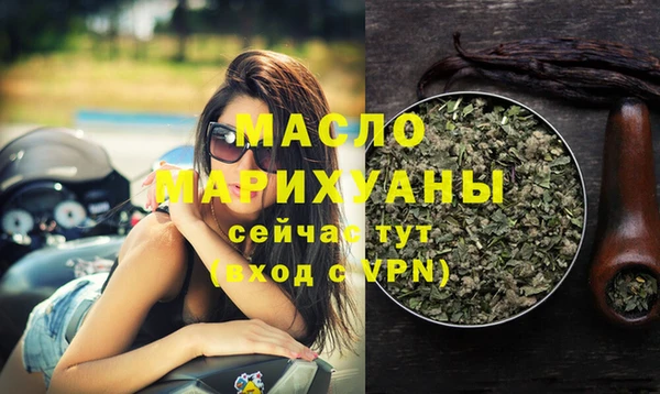 гидра Горняк