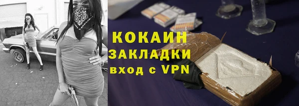 гидра Горняк
