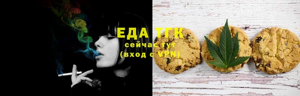 гидра Горняк