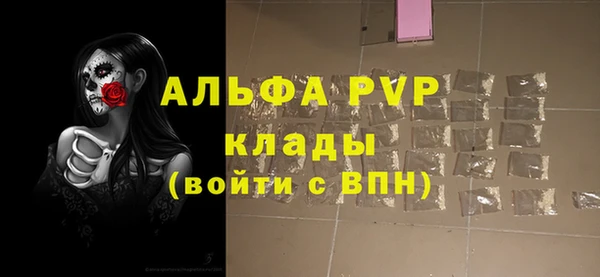 гидра Горняк