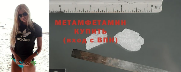 гидра Горняк