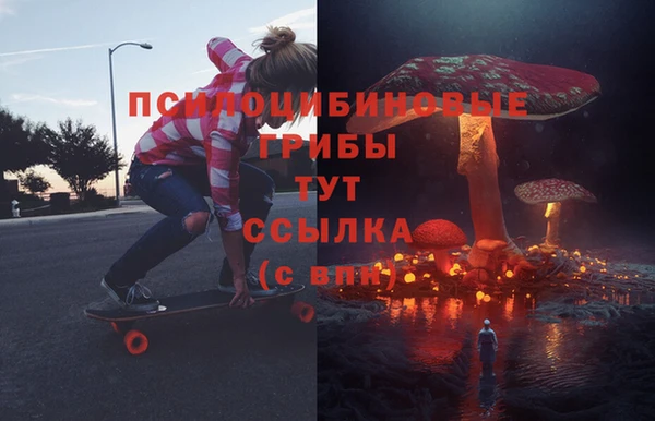 гидра Горняк