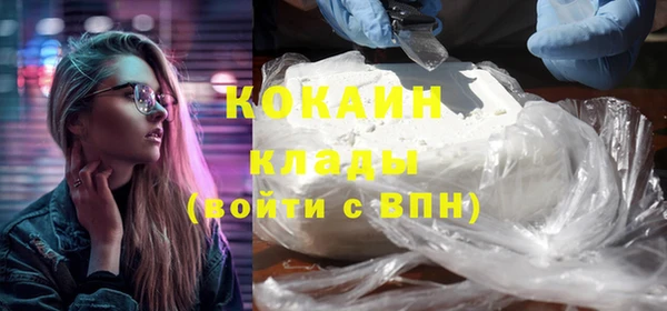 гидра Горняк