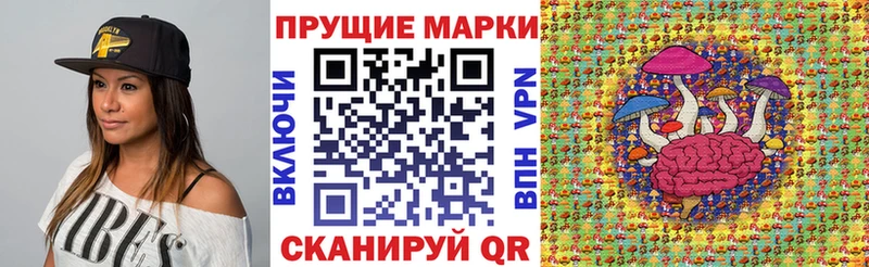 Марки NBOMe 1,5мг  цена   Кашин 