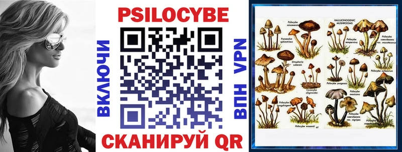 Псилоцибиновые грибы GOLDEN TEACHER  Кашин 